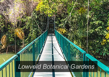 Lowveld National Botanical Garden in Nelspruit