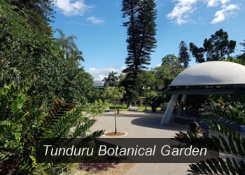 Mozambique Tunduru Botanical Garden